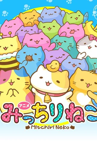 萌猫封面
