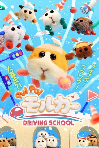 PUI PUI 天竺鼠车车 DRIVING SCHOOL封面