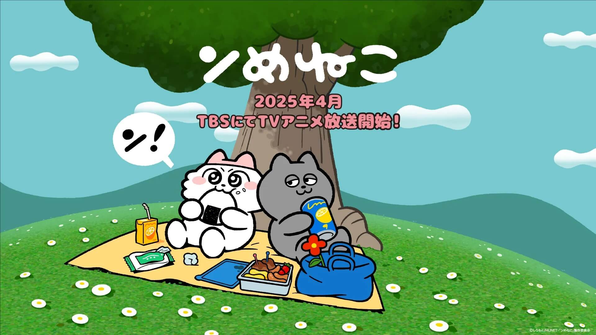 呜莓猫猫封面