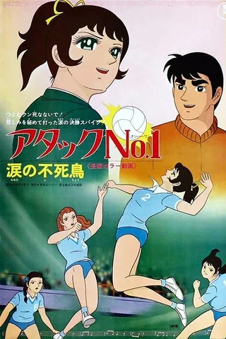 剧场版 排球甜心：泪之不死鸟封面