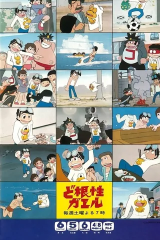 根性青蛙封面