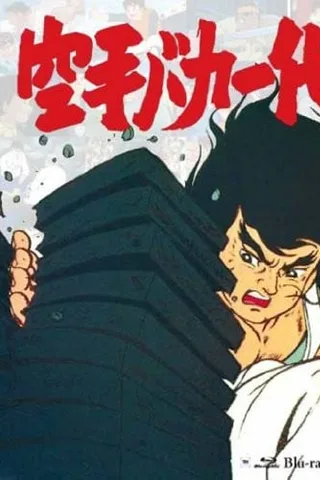 空手傻瓜一代封面