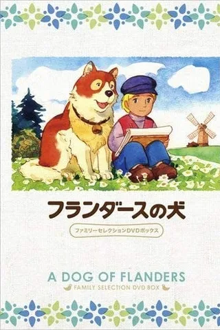 佛兰德斯的狗封面