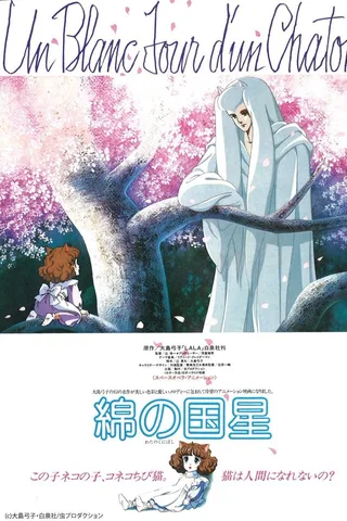 棉花国之星封面