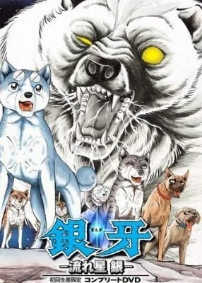 银牙封面