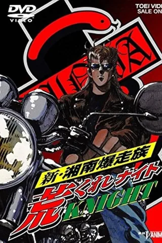 新·湘南暴走族 荒野骑士封面
