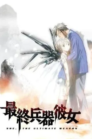 最终兵器彼女封面