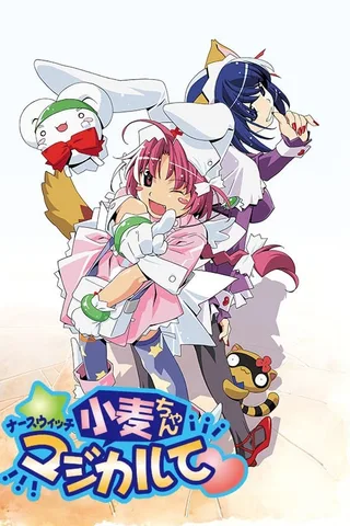 魔法护士小麦封面