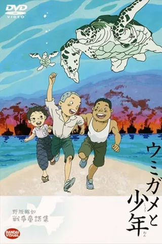 海龟与少年封面