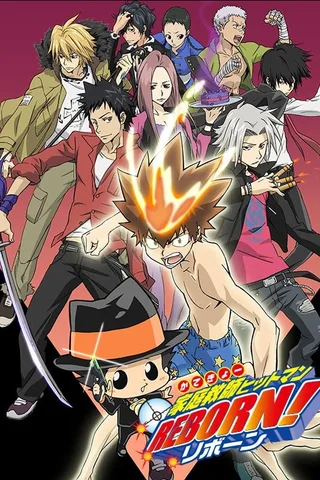 家庭教师HITMAN REBORN!封面