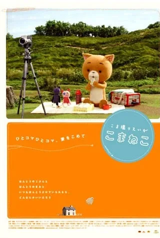 追逐拍摄的可玛猫封面