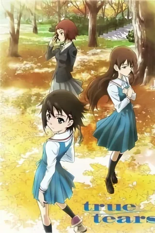 真实之泪封面
