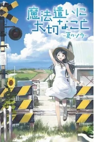 魔法使的条件 夏季的天空封面