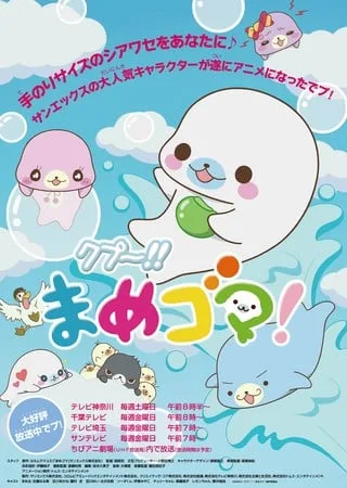 海豹宝宝封面
