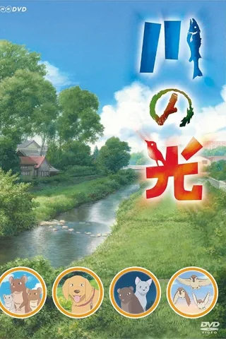 川之光封面