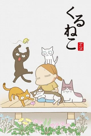 来来猫封面