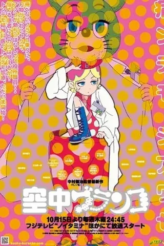 空中秋千封面