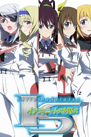 IS〈无限斯特拉托斯〉封面