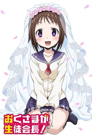 我老婆是学生会长封面