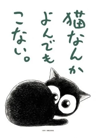 为什么猫都叫不来封面