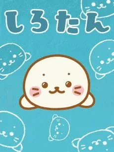海豹小白封面
