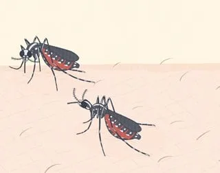 残念生物事典 第二季封面