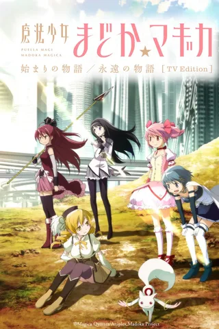 魔法少女小圆 起始的物语&永远的物语 TV剪辑版封面