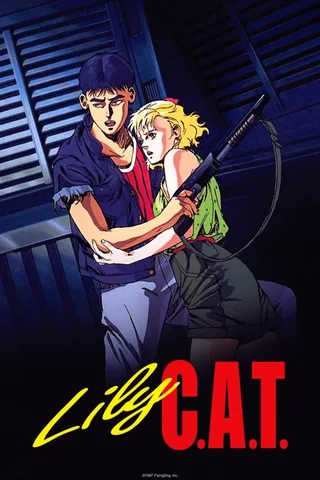 灵猫 C.A.T.封面